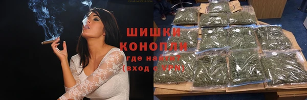 метадон Белокуриха