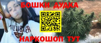 PSILOCYBIN Бийск