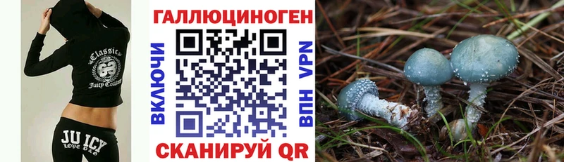 Галлюциногенные грибы MAGIC MUSHROOMS  сколько стоит  Верхний Уфалей 
