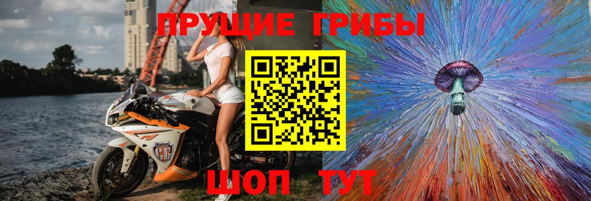 Псилоцибиновые грибы GOLDEN TEACHER Верхний Уфалей